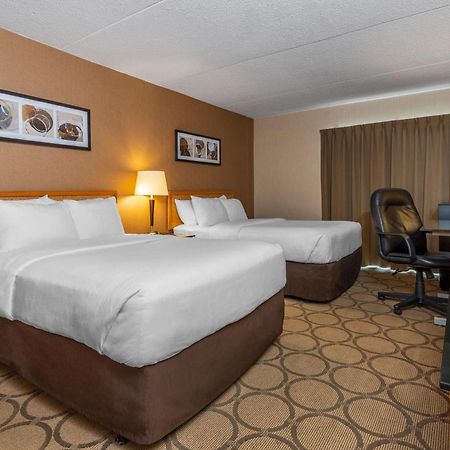 Comfort Inn Campbellton Esterno foto