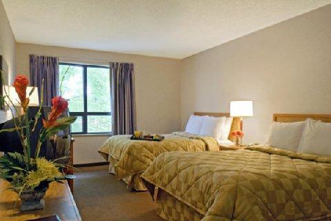 Comfort Inn Campbellton Esterno foto