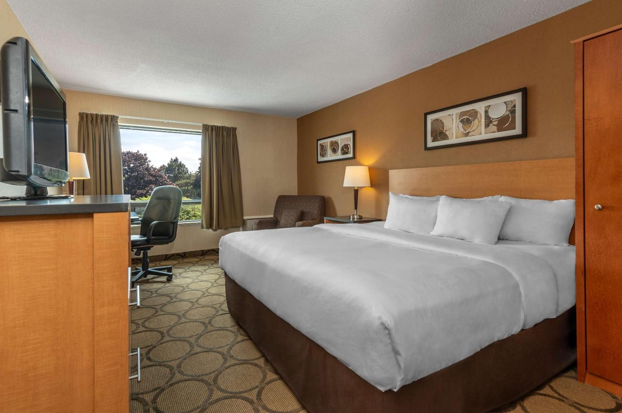 Comfort Inn Campbellton Esterno foto