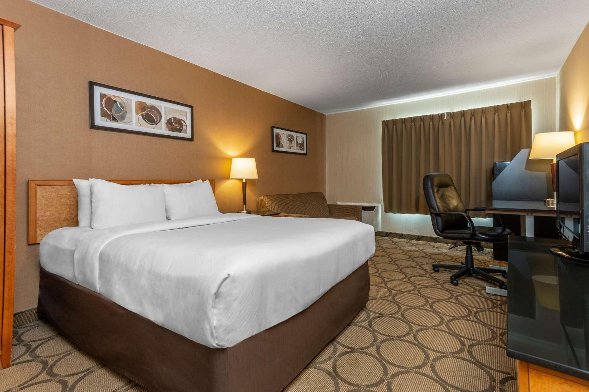 Comfort Inn Campbellton Esterno foto